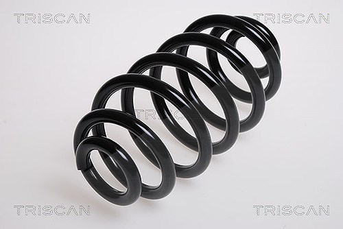 Triscan Fahrwerksfeder [Hersteller-Nr. 87501719] für Rover