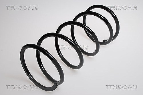 Triscan Fahrwerksfeder [Hersteller-Nr. 87504241] für Mitsubishi