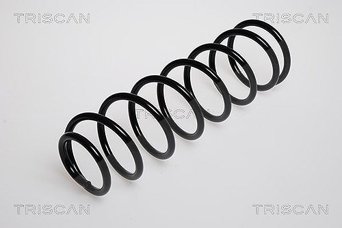 Triscan Fahrwerksfeder [Hersteller-Nr. 875016005] für Ford