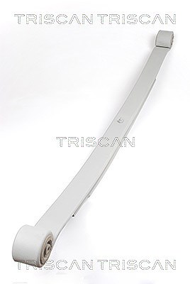 Triscan Federnpaket [Hersteller-Nr. 876523020] für VW, Mercedes-Benz