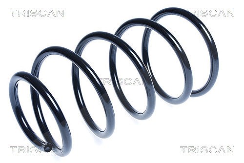 Triscan Fahrwerksfeder [Hersteller-Nr. 87504365] für Hyundai