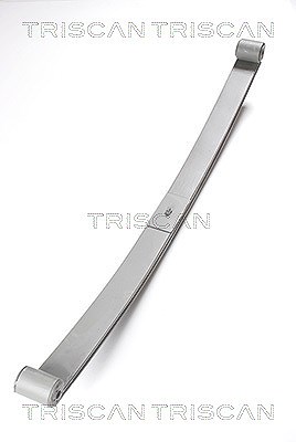 Triscan Federnpaket [Hersteller-Nr. 876515003] für Peugeot, Citroën, Fiat