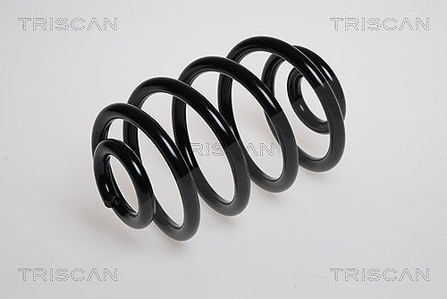 Triscan Fahrwerksfeder [Hersteller-Nr. 87502524] für Renault