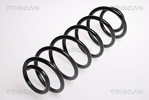 Triscan Fahrwerksfeder [Hersteller-Nr. 875016009] für Ford