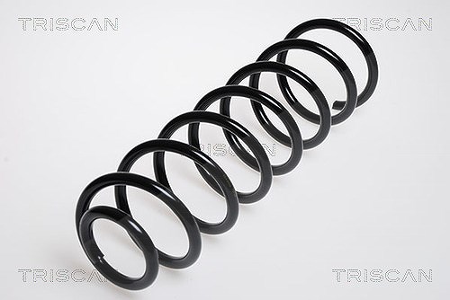 Triscan Fahrwerksfeder [Hersteller-Nr. 875029047] für Audi