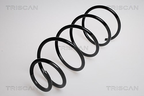 Triscan Fahrwerksfeder [Hersteller-Nr. 87502879] für Citroën, Peugeot