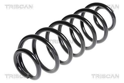 Triscan Fahrwerksfeder [Hersteller-Nr. 875016084] für Ford