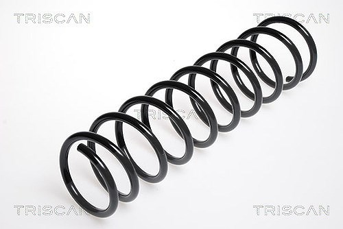 Triscan Fahrwerksfeder [Hersteller-Nr. 87502519] für Renault