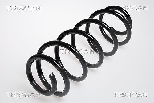 Triscan Fahrwerksfeder [Hersteller-Nr. 875029043] für Audi