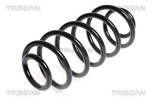 Triscan Fahrwerksfeder [Hersteller-Nr. 875015173] für Fiat