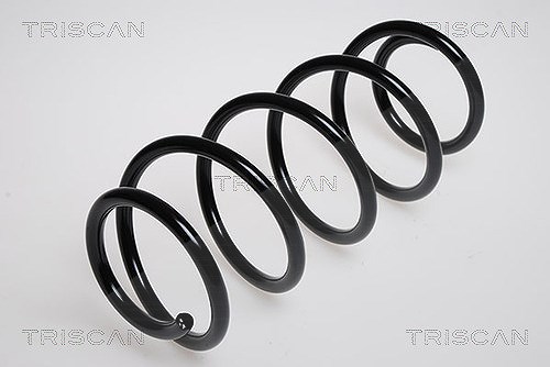 Triscan Fahrwerksfeder [Hersteller-Nr. 875024102] für Opel, Vauxhall