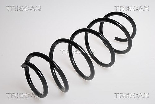 Triscan Fahrwerksfeder [Hersteller-Nr. 875016010] für Ford