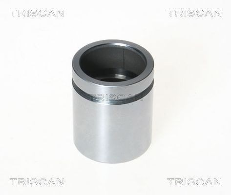 Triscan Kolben, Bremssattel [Hersteller-Nr. 8170233865] für Acura, Honda