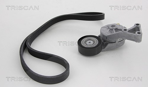 Triscan Keilrippenriemensatz [Hersteller-Nr. 864210011] für VW, Seat, Ford, Audi, Skoda