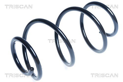 Triscan Fahrwerksfeder [Hersteller-Nr. 87504384] für Hyundai