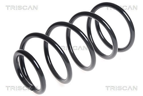 Triscan Fahrwerksfeder [Hersteller-Nr. 875016092] für Ford