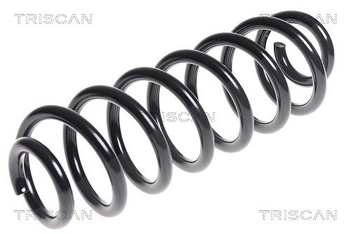 Triscan Fahrwerksfeder [Hersteller-Nr. 875029294] für VW