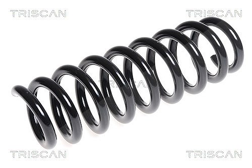 Triscan Fahrwerksfeder [Hersteller-Nr. 875011113] für BMW