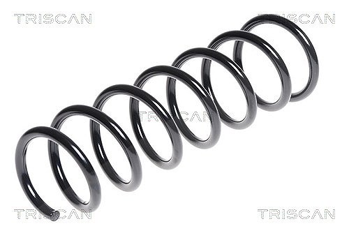 Triscan Fahrwerksfeder [Hersteller-Nr. 875011132] für BMW