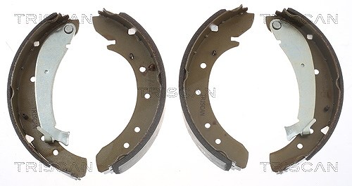 Triscan Bremsbackensatz für Trommelbremse [Hersteller-Nr. 810010576] für Fiat, Toyota, Citroën, Peugeot