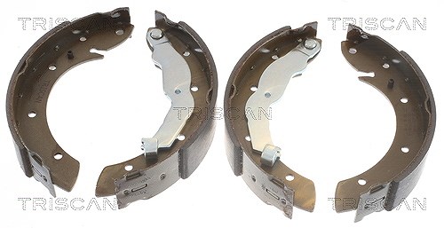 Triscan Bremsbackensatz für Trommelbremse [Hersteller-Nr. 810010575] für Peugeot, Renault