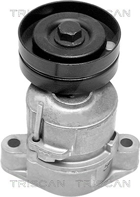 Triscan Spannarm, Keilrippenriemen [Hersteller-Nr. 8641243001] für Vauxhall, Opel, Chevrolet