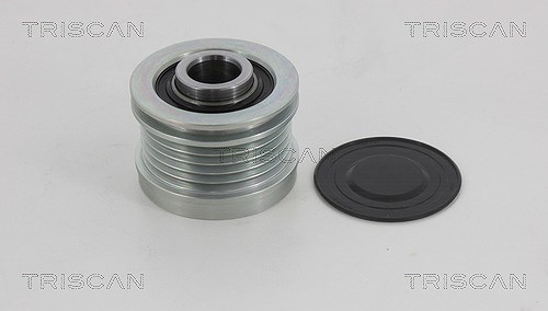 Triscan Generatorfreilauf [Hersteller-Nr. 8641234001] für Mitsubishi, Smart, Mercedes-Benz