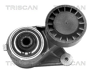 Triscan Spannarm, Keilrippenriemen [Hersteller-Nr. 8641233002] für Mercedes-Benz