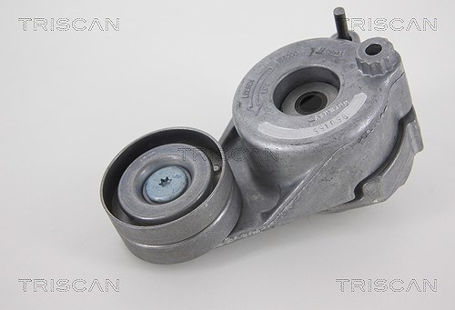 Triscan Spannarm, Keilrippenriemen [Hersteller-Nr. 8641233018] für Jeep, Mercedes-Benz, Chrysler