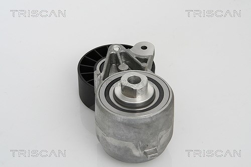 Triscan Spannarm, Keilrippenriemen [Hersteller-Nr. 8641233009] für Mercedes-Benz