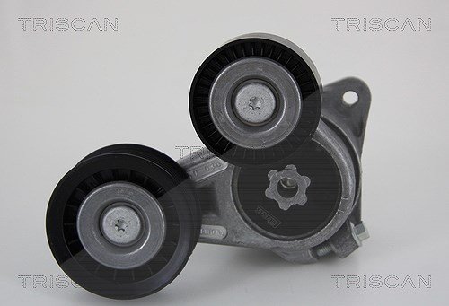 Triscan Spannarm, Keilrippenriemen [Hersteller-Nr. 8641163016] für Ford