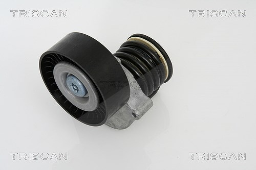 Triscan Spannarm, Keilrippenriemen [Hersteller-Nr. 8641233007] für Mercedes-Benz