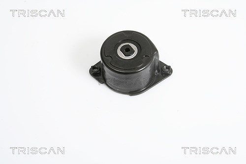 Triscan Riemenspanner, Keilrippenriemen [Hersteller-Nr. 8641113022] für BMW