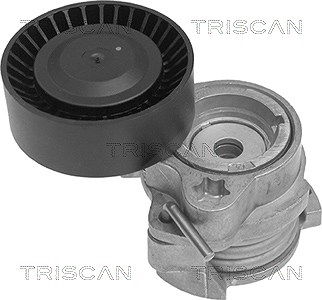 Triscan Spannarm, Keilrippenriemen [Hersteller-Nr. 8641113014] für Rolls-royce, BMW