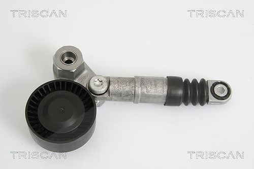 Triscan Spannarm, Keilrippenriemen [Hersteller-Nr. 8641123002] für Alfa Romeo