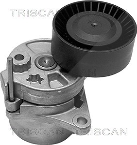 Triscan Spannarm, Keilrippenriemen [Hersteller-Nr. 8641233005] für Mercedes-Benz, Jeep