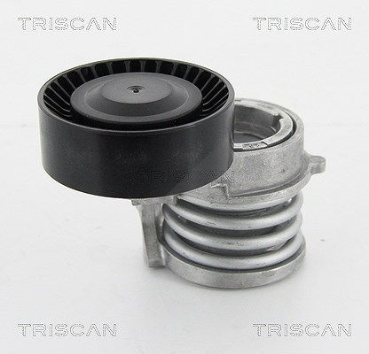 Triscan Spannarm, Keilrippenriemen [Hersteller-Nr. 8641113016] für BMW