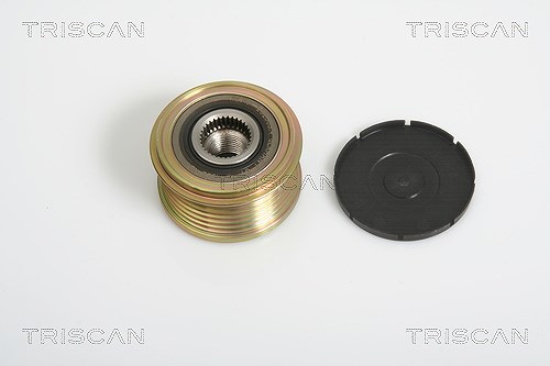Triscan Generatorfreilauf [Hersteller-Nr. 8641104005] für Citroën, Fiat, Volvo, Lancia, Land Rover, Ford, Mini, Peugeot