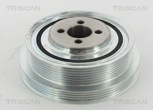 Triscan Riemenscheibe, Kurbelwelle [Hersteller-Nr. 864315009] für Fiat, Karsan, Iveco