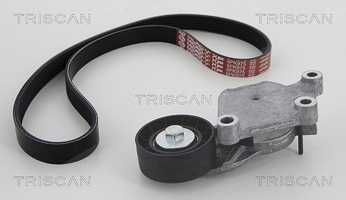Triscan Keilrippenriemensatz [Hersteller-Nr. 864228012] für Peugeot, Ds, Citroën, Mini
