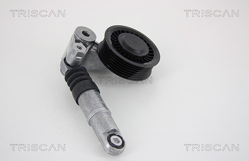 Triscan Riemenspanner, Keilrippenriemen [Hersteller-Nr. 8641293032] für VW