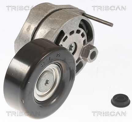 Triscan Spannrolle, Keilrippenriemen [Hersteller-Nr. 8641293024] für Audi, VW