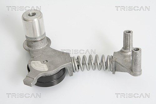 Triscan Spannarm, Keilrippenriemen [Hersteller-Nr. 8641293023] für Audi