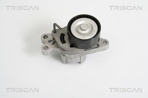 Triscan Riemenspanner, Keilrippenriemen [Hersteller-Nr. 8641283004] für Peugeot, Fiat, Citroën