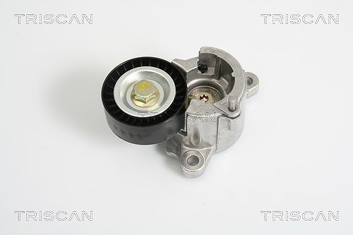 Triscan Spannarm, Keilrippenriemen [Hersteller-Nr. 8641281023] für Citroën, Peugeot