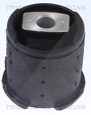 Triscan Lagerung, Achskörper [Hersteller-Nr. 850011838] für BMW