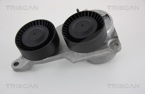 Triscan Spannarm, Keilrippenriemen [Hersteller-Nr. 8641273004] für Volvo