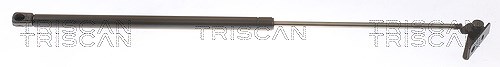 Triscan Gasfeder, Koffer-/Laderaum [Hersteller-Nr. 871043204] für Hyundai