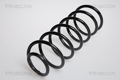 Triscan Fahrwerksfeder [Hersteller-Nr. 875029055] für VW