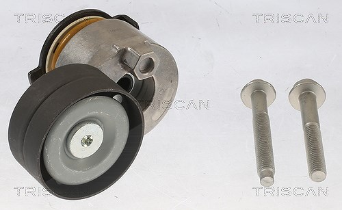 Triscan Spannarm, Keilrippenriemen [Hersteller-Nr. 8641253005] für Renault